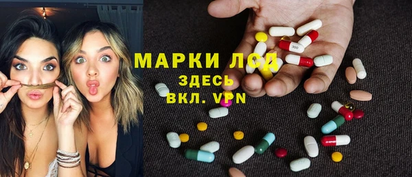 амф Верея