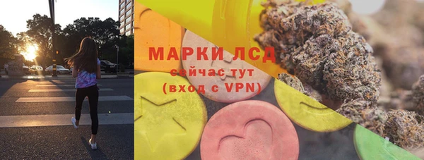 амф Верея